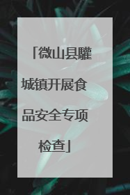 微山县驩城镇开展食品安全专项检查